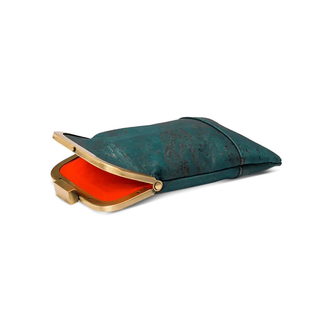 Glasses Case