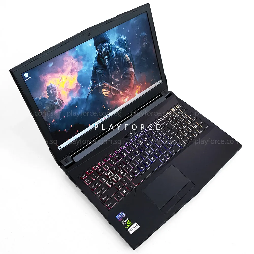 MX15 Pro (i7-8750H, GTX 1060, 8GB, 1TB 250GB SSD, 15-inch)