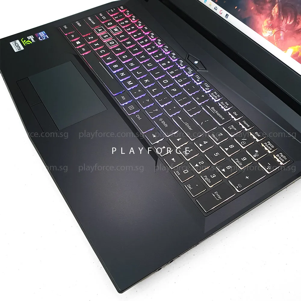 MX15 Pro (i7-8750H, GTX 1060, 8GB, 1TB 250GB SSD, 15-inch)