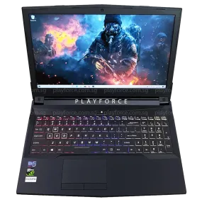 MX15 Pro (i7-8750H, GTX 1060, 8GB, 1TB 250GB SSD, 15-inch)