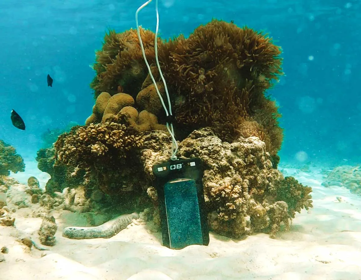 Waterproof Phone Case - Large